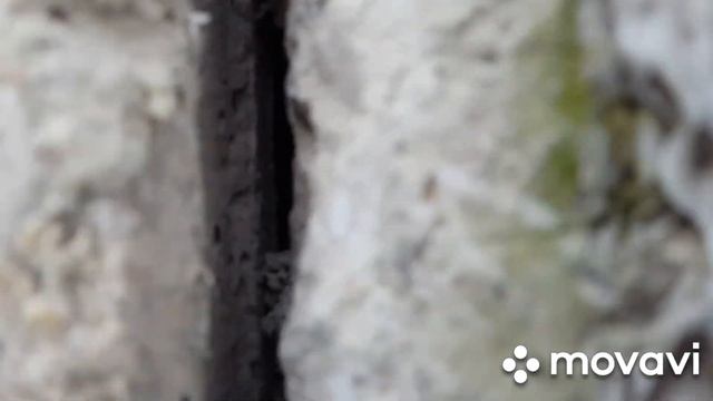 Утепление межпанельных швов.