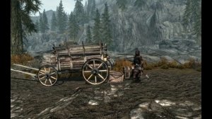 Skyrim Прикол 31