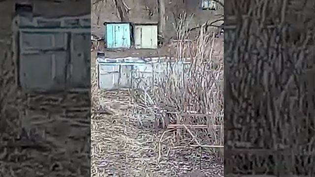 Гуляем непонятно где. (3 часть) смотреть онлайн