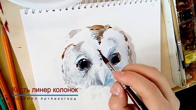 Тест кистей для акварели (Белка-Эко и линер)