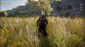 Ассасин крид истоки. Мое прохождение Assassins Creed Origins - часть 532. Сокровище Подземные воды.