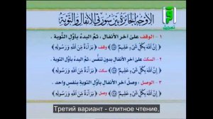 Айман Сувейд. 31. Остановка и начало: МЕЖДУ АЛЬ-АНФАЛЬ И АТ-ТАУБА (с субтитрами на русском)