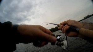 Осенняя Чехонь на сбирулино fishing with the use of sbirulino