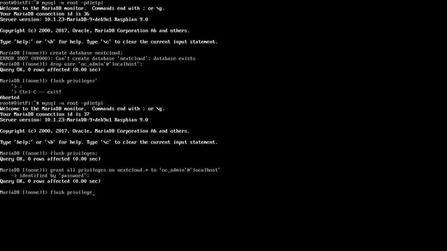 Raspberry Pi Nextcloud WD Red Diet Pi смотреть онлайн