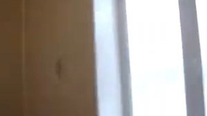 Плитка кафельная