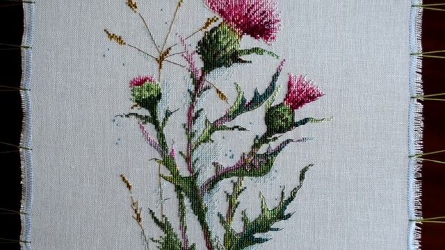 #51."Бабочка на цинии" и "Чертополох" смотреть онлайн