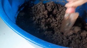 Осеннее черенкование пеларгонии. Подготовка грунта и посадка .09.10.2021 г.