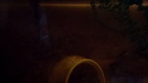 Мои результаты за 1 год и 3 месяца содержания раков