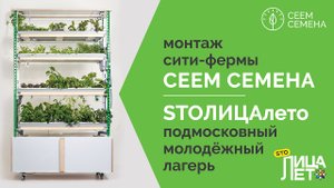 Монтаж сити-фермы СЕЕМ СЕМЕНА в подмосковном молодежном лагере STOЛИЦАлето