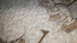 Как избавиться от клопов За 01 Минуту!