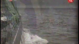 Алексей Гоман  "Весёлый ветер"