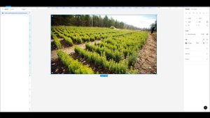 Как добавить картинку на фон в стандартный блок на тильде