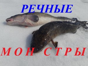 Рыбалка на Налима. Ловля Речных Монстров..mp4