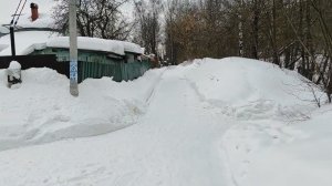 Утренняя прогулка !