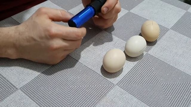 Овоскопирование куриных яиц