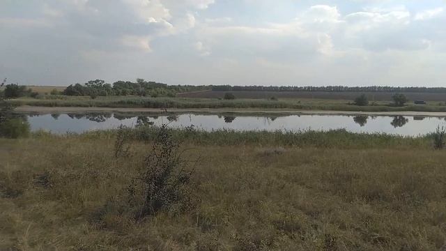 Никольский ставок.Природа.Возле села Никольское, Донецкая область, Украина. Часть 2.
