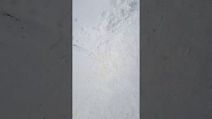 Шевроле Трекер2 (копия Сузуки гранд Витара только произведен в Канаде)