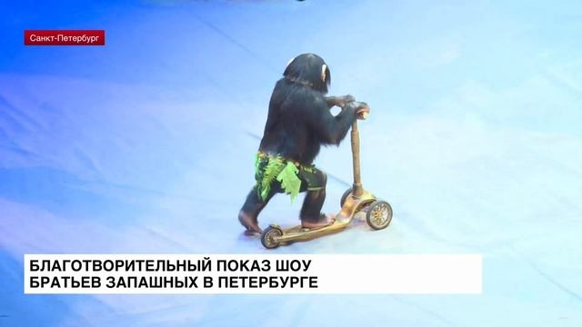 В Петербурге состоялась премьера циркового шоу братьев Запашных «Страшная сила»
