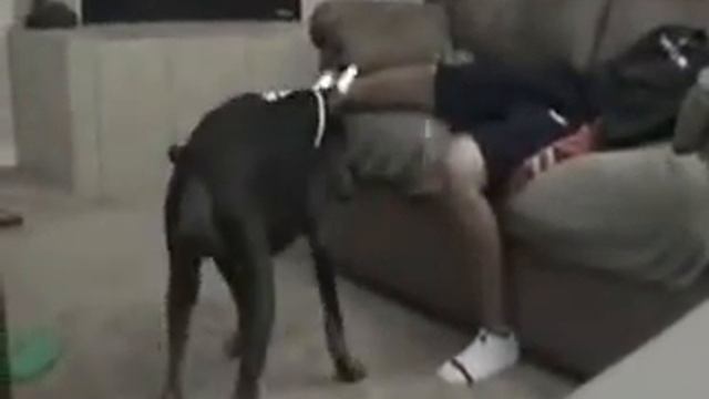 Яички смотреть онлайн