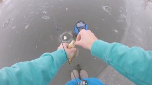 Early Ice TIPS for Bluegill Fishing (Ice Fishing 2018)