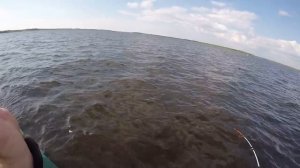 Бешеный клев судака на реке Свирь