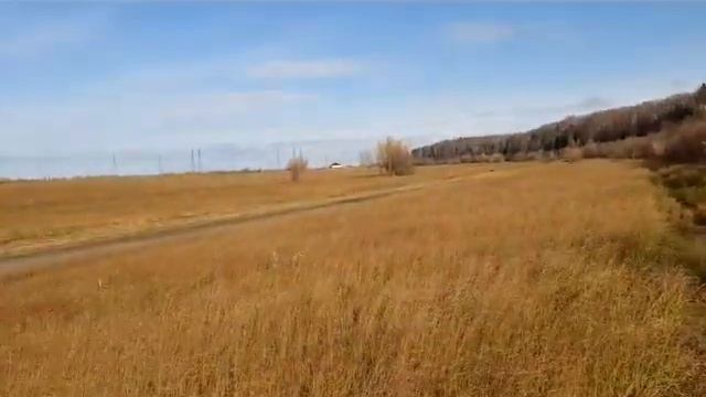 Минерализованная полоса смотреть онлайн