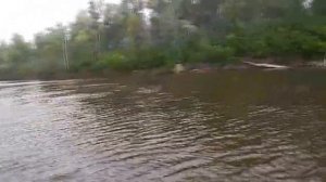 Рыбалка на реке Ахтуба Разлив на Ахтубе