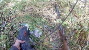 Охота на глухаря  рябчика