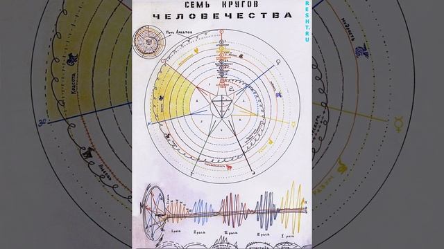 Семь Кругов Человечества (7 circles of humanity) смотреть онлайн