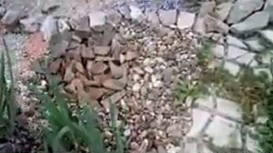 альпийская горка
