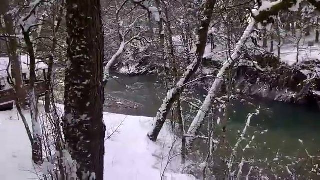 Кавказский заповедник в Адыгее смотреть онлайн