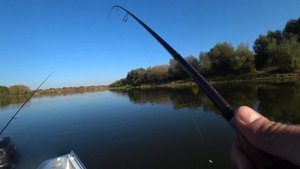 Ловля судака и щуки на джиг в корягах Lowrance FS 9 помог найти рыбу