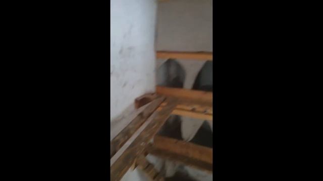 Новый курятник. куры. птичник. содержание птицы. смотреть онлайн