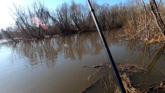 Рыбалка/Обалденный КЛЕВ !/Как знал что надо ехать в УСТЬЕ с ПРОТОКОЙ!Цежу на Рыбные КОТЛЕТЫ)!!! смотреть онлайн