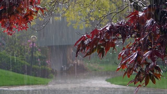 Звуки дождя , лес природа , релакс смотреть онлайн