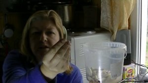 Лук шалот нюансы посадки.