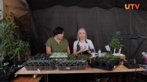 Какими удобрениями стоит запастись?