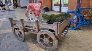 ЗЕЛЕНОГРАДСК: Куршская коса, Танцующий лес, Высота Эфа.