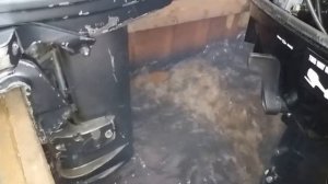 Лодочный мотор Yamaha 25 DM