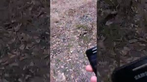 Разбиваем старый телефон