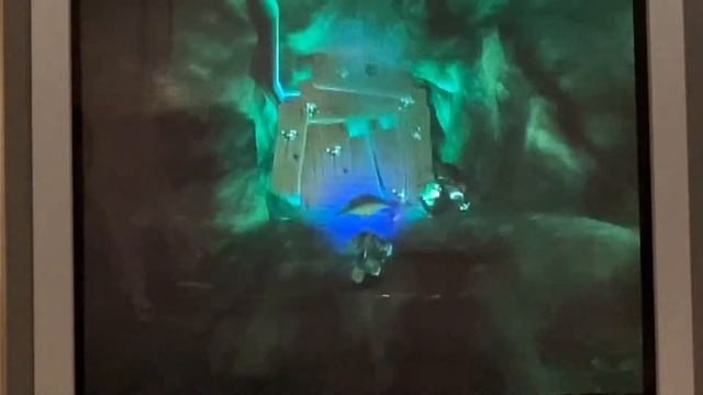 MUSHROOM MEN - THE SPORE WARS: Meeting the Funky Fungi. PART 1