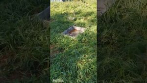 фундамент, под дом из двух контейнеров