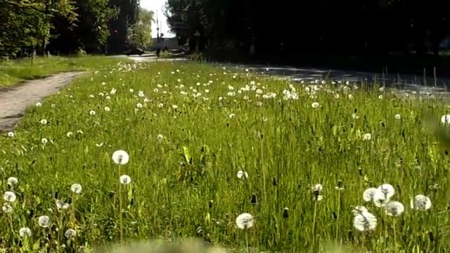 Мир! Май! Украина! смотреть онлайн