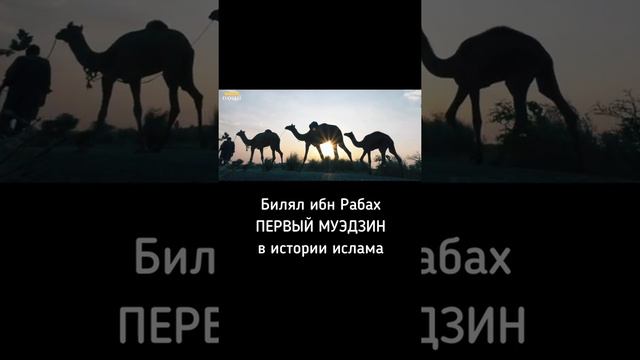 #БИЛЯЛ #ИБН #РАБАХ #ПЕРВЫЙ #МУЭДЗИН В #ИСТОРИИ #ИСЛАМА смотреть онлайн