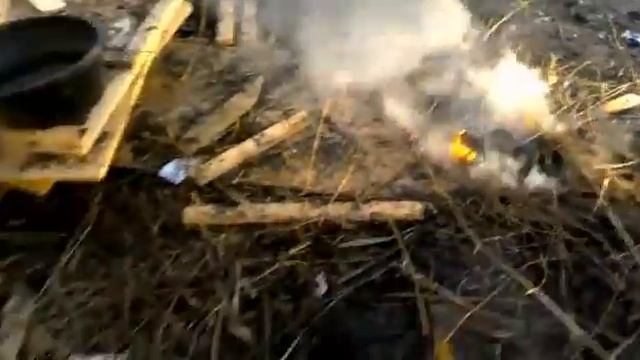 Мы развели костёр и готовим картошку смотреть онлайн