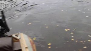 р. Кёнга, Томская область