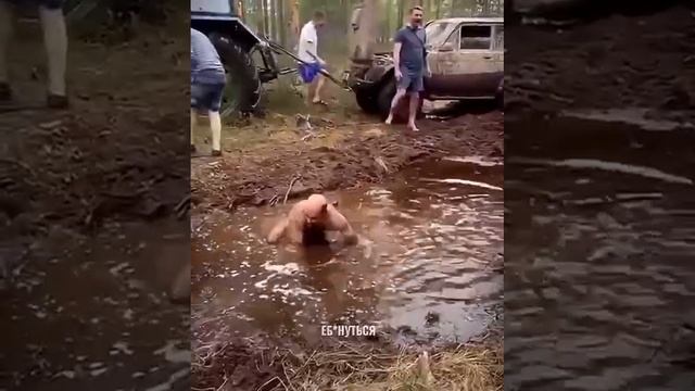 Смотреть видео онлайн