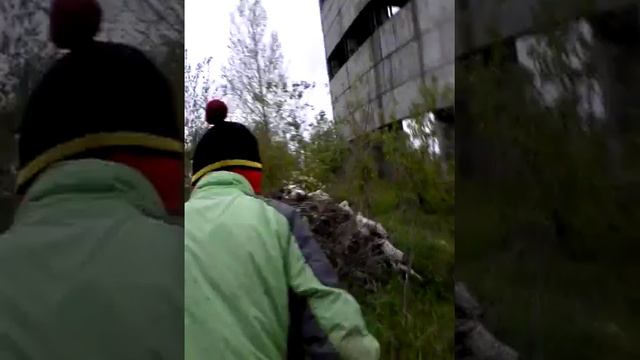 31 мая 2017 г. смотреть онлайн