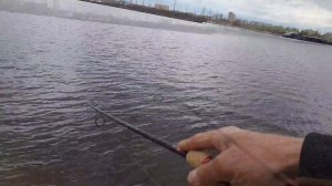 Стритфишинг - Крупный Окунь Рыбалка в Тольятти Шлюзовой Канал Отводной поводок Оснастка Спиннинг