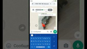 экономия бензина без обогатителей ... с Обеднялкой Фунтика